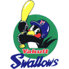 Yakult Swallows